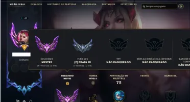 Mestre com 40 Champs e 13 Skins + 2 Fragmentos