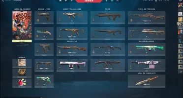 Conta Nfa De Valorant Com Skins! Garantia De 1 A 200 Skins.
