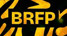Brfp: Patch Ea Sports Fc 25 Com Brasileirão Atualizado