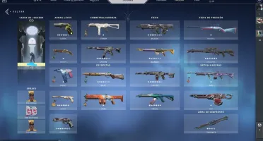 Conta com mais de R$ 1500 em skins, cards e sprays