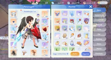 Conta Ragnarok Origin -Paladino - 353k power alberta 1