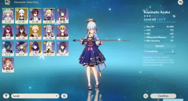 AR 33 Ayaka + Raiden