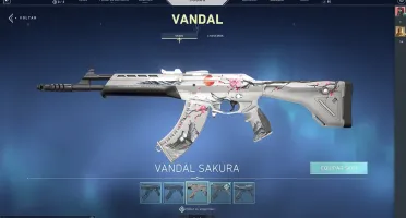 CONTA de valorant muitas FACAS e SKINS!