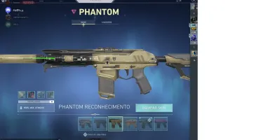 VALORANT SKIN