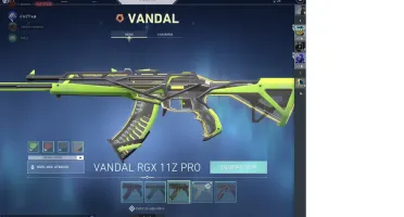 VALORANT SKIN
