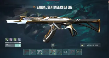 Conta VALORANT™ com todas as skins LIMITADAS!