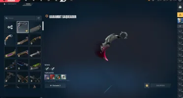 Conta Valorant Lvl 194, Karambit Saqueador, Vandal Sublime