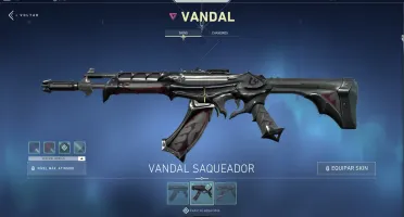 Conta Diamante 1 com várias skins