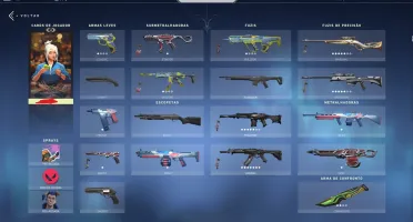 Conta Diamante 1 com várias skins