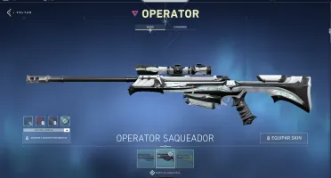Conta Diamante 1 com várias skins