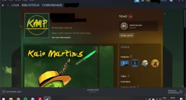 Conta CSGO PRIME|105 wins|Medalha de 2021|250hr|LVL14 Steam