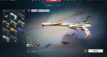 Conta platina 1 com várias skins