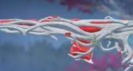Conta Valorant MUITAS SKINS + Lol 156 skins todos bonecos