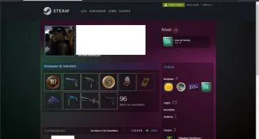 CONTA CS GO -LVL20 -PRIME - 16ANOS STEAM -INVENTARIO FULL