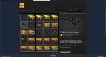 CONTA CS GO -LVL20 -PRIME - 16ANOS STEAM -INVENTARIO FULL