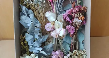 Caixa com flores desidratadas (12 especies)