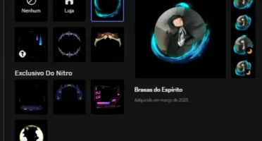 Conta Discord 2019 Nitro Anual E Decoraçoes Full Acesso
