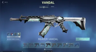 Conta Valorant Muitas Skins (BRL1333.60 gastos)