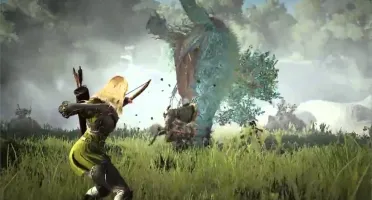 Black desert Founder Pack Bronze
