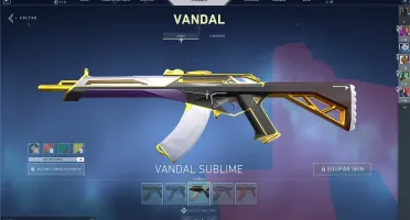 Conta Valorant Várias Skins