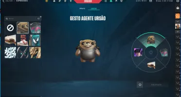 Super Conta Valorant
