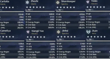 Conta Wuwa Union Level 80