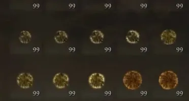 Elden Ring - 411 Milhões Runas+ Brindes -Xbox One e Series