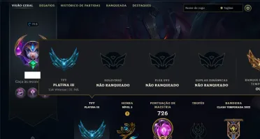Unranked com TODOS os Champs e 255 Skins ( ADC / SUP / JG )