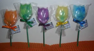 Tulipa no Palito