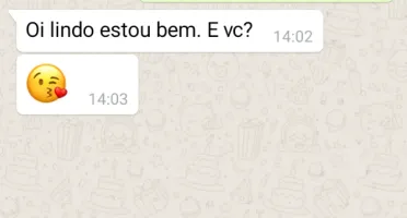 WhatsAPP Conversas fake Premium