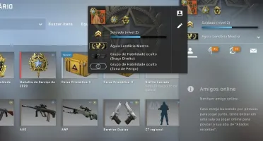 CS GO PRIME, PATENTE ÁGUIA 2, STEAM LEVEL 16