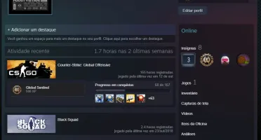 CS GO PRIME, PATENTE ÁGUIA 2, STEAM LEVEL 16