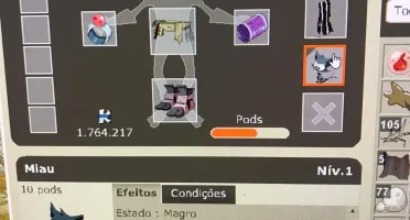 IOP LVL 160 DOFUS RETRO - SERVER ALGATA