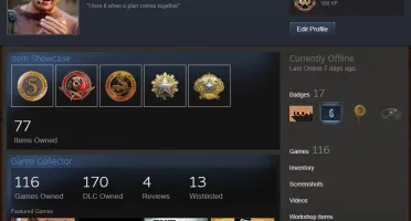 Steam LVL 20, 116 jogos e 170 DLCS