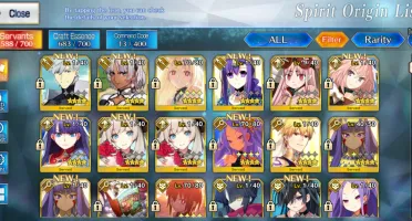 Fate Grand Order NA 11ssr