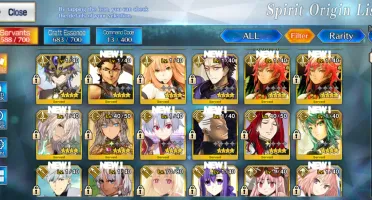 Fate Grand Order NA 11ssr