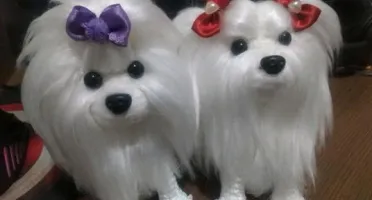 Mini Maltês - Amigurumi De Crochê