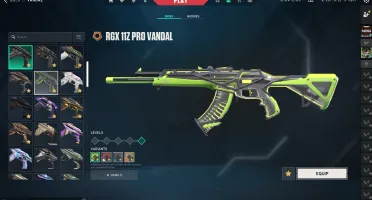 Conta Valorant Radiante 4K Gastos/ Champions 2024 / Foice +