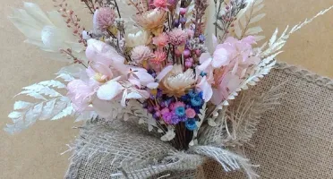 Mini Buque Desidratado (30cm)