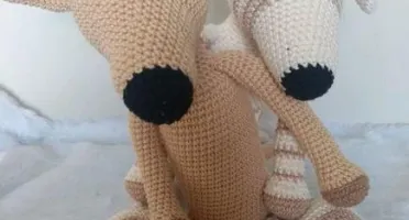 Cachorrinho Galgo Italiano