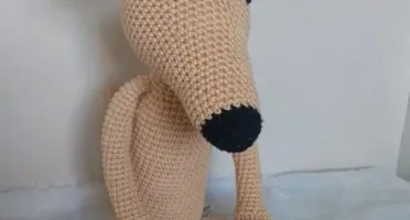 Cachorrinho Galgo Italiano