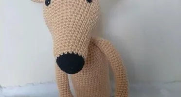 Cachorrinho Galgo Italiano