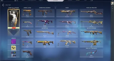 500 VP, 4 SKINS DE VANDAL, 6 DE PHANTOM, 3 FACAS, 3 PASSES