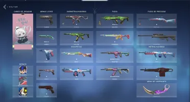 CONTA RADIANTE SKINS E VP PRA AGORA