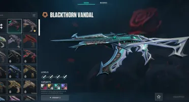 Conta Main valorant