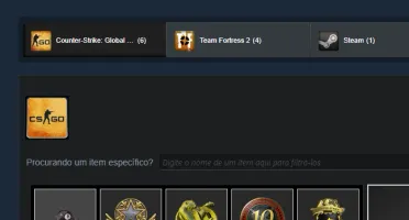 Conta 18 Anos Steam CSGO Prime 3000 HORAS! MEDALHA E OP!