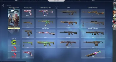 CONTA PLAT1 SKINS