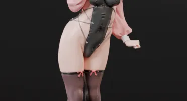 Siguru Bunny Girl 3D - Arquivo .Stl Para Impressão 3D