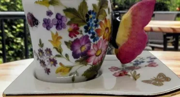 Xícara de Porcelana com Pires - Borboleta e Ouro