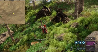 New World - MiniMap - 100% Seguro